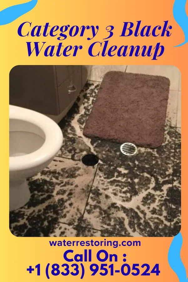 Category 3 Black Water Cleanup in Lynn, MA